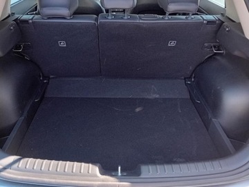 Kia Niro II 2025 KIA Niro 1.6 GDI Hybrid L Suv 136KM 2025, zdjęcie 8