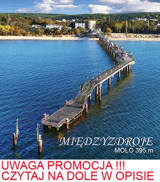 MAGNES NA LODÓWKĘ 3D MIĘDZYZDROJE