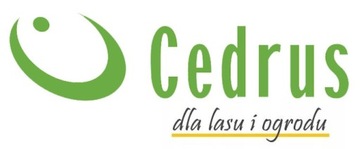 БЕНЗИНОВЫЙ СНЕГОУборщик CEDRUS SB56, 6,5 л.с., снегоочиститель, 56 см, 196 см3, LONCIN.