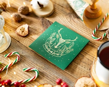 Зеленый футляр для CD DVD, золотистый желонек, надпись MERRY CHRISTMAS