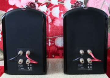 Ч/Б МОНИТОРЫ PM1 В ОТЛИЧНОМ СОСТОЯНИИ