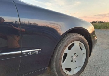 Mercedes Klasa S W220 Sedan 5.8 V12 (600) L 367KM 2001 Mercedes-Benz Klasa S Mercedes-Benz Klasa S 5.8 Benzyna 367KM, zdjęcie 20