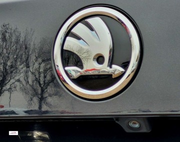 Skoda Kodiaq I SUV 2.0 TDI 190KM 2019 Skoda Kodiaq Virtual cockpit,Ambiente,7 osobBardzo ladna,super opcja, GWAR, zdjęcie 23