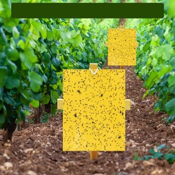 ДОСКИ ДЛЯ НАКЛЕЙКИ, ЖЕЛТАЯ БУМАГА ДЛЯ ВИШНЕВЫ, ЛОВУШКИ ДЛЯ НАСЕКОМЫХ, 74 шт.