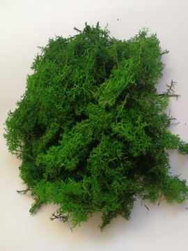 MECH CHROBOTEK ŚCIÓŁKA STROIK OZDOBA ODPAD 100G