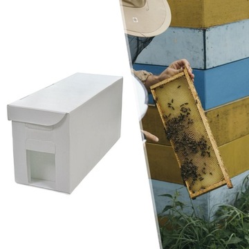 Ульи пчел Коробка для опыления пчел Коробка для пчеловодства Коробка для пчеловодства Прочный материал стойки улья