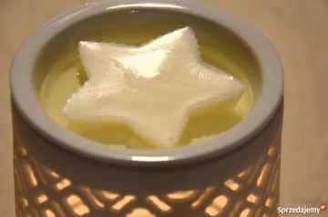 соевый воск из ЕС для свечей S45 + фитиль и пластины 4кг