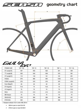 ДОРОЖНЫЕ КОЛЕСА SENSA GIULIA EVO DISC 105 Di2 RFC, размер 53