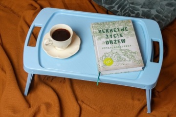 ПЛАСТИКОВЫЙ ПОДДОН, СТОЛ ДЛЯ ЗАВТРАКОВ ДЛЯ КРОВАТИ