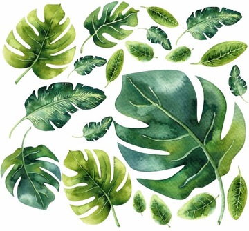 Naklejki na ścianę liście MONSTERA 50x100cm MR