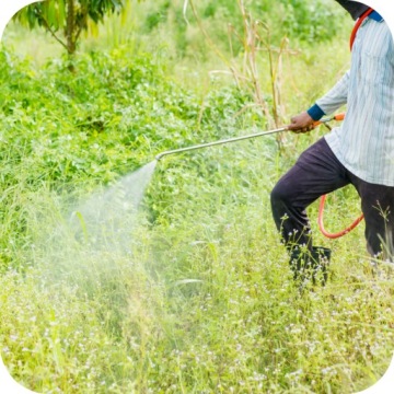 ROUNDUP 360 PLUS ГЛИФОСАТ RANDAP 5л киноа BAD BAD GREY BROOM