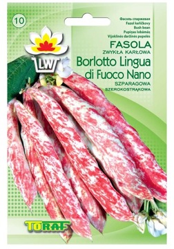 Fasola Szparagowa DWUBARWNA BORLOTTO Toraf 30g