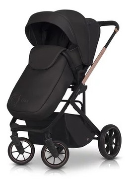 МЕТЕОРИТ КАВОЕ МОИ+