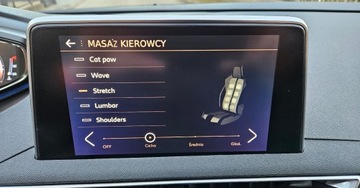 Peugeot 3008 II Crossover 1.5 BlueHDI 130KM 2019 Peugeot 3008 130Ps.GT Kam.Tyl Przod Skora Masarze Navi Serwis Koniec2019, zdjęcie 22