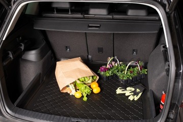 Kia Sportage V (NQ5) 2022-Коврик багажника