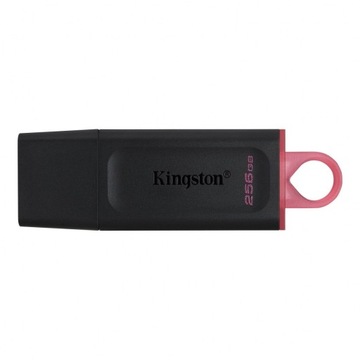 Флеш-накопитель KINGSTON DTX USB 3.0 ПАМЯТЬ 256 ГБ