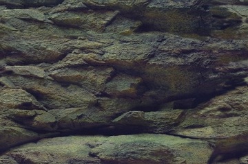 Aqua Nova Tło do akwarium 100x50cm Rock/Plants