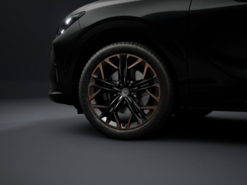 Cupra Terramar 2026 Cupra Terramar Advantage Edition 2.0 TSI 204 KM, zdjęcie 13