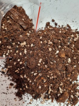 Грунт для бигоса STRELICE 5л, субстрат