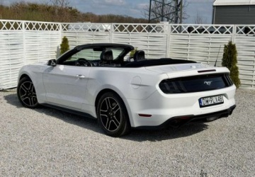 Ford Mustang VI 2021 Ford Mustang Ford Mustang Cabrio 2.3 Eco Boost 2.3 Benzyna 317KM, zdjęcie 1