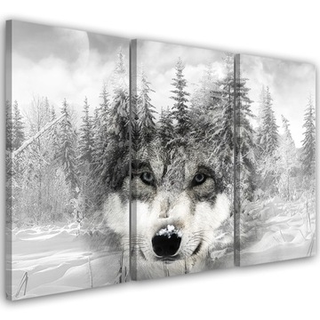 OBRAZ TRYPTYK Wilk na tle Lasu Natura 60x40