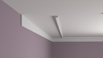 Listwa symetryczna ścienna LSX01 10x3 xps