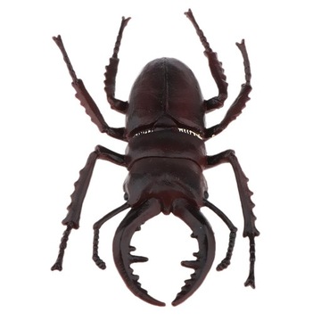 Simulation Insects Figure Model High Sand Worm