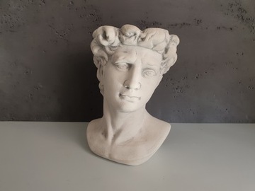 Крышка Цезаря Голова Цветочный Горшок Украшение Чаша ПОДАРОК