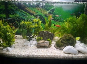 16kg Biały Grys Do Akwarium Malawi 1-4mm