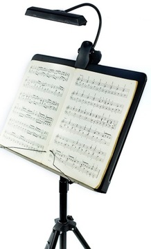 НАСТОЛЬНАЯ МУЗЫКАЛЬНАЯ РУЧКА ТРИОД МУЗЫКАЛЬНАЯ ПОДСТАВКА + КРЫШКА + СВЕТОДИОДНАЯ ЛАМПА 9##