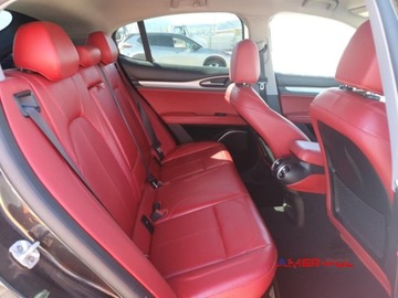 Alfa Romeo Stelvio SUV 2.0 Turbo 280KM 2018 Alfa Romeo Stelvio 2018 r., 2,0L SPORT 4X4 2.0 Benzyna 280KM, zdjęcie 10
