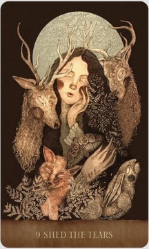 Dream Song Oracle Cards, instr.PL