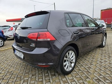 Volkswagen Golf VII Hatchback 3d 1.4 TSI BlueMotion Technology 125KM 2015 Volkswagen Golf 1,4 benzyna 125KM nawigacja kamera, zdjęcie 3