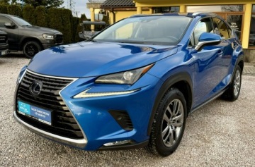 Lexus NX I 2020 Lexus NX 300h,Hybryda,4x4,Europa