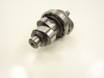 Aeon Cobra 320 420 422 Wałek rozrządu