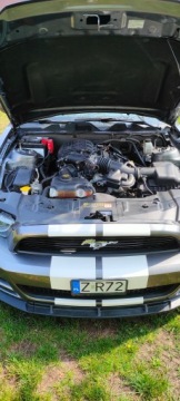 Ford Mustang VI 2014 FORD USA MUSTANG coupe 3.7 309 KM, zdjęcie 5