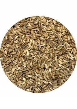 Ostropest Plamisty 10kg