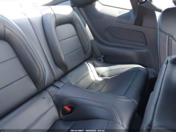 Ford Mustang VI 2024 Ford Mustang GT Premium Fastback 2024 5.0l 5.0 Benzyna 480KM, zdjęcie 12