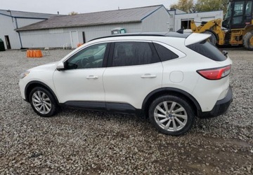 Ford Escape III 2022 Ford Escape Auta z USA - Zapytaj o wiecej ofert 2.0 Benzyna 242KM, zdjęcie 6