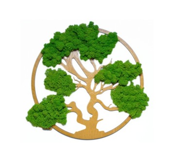 Drzewo Życia BONSAI MECH CHROBOTEK 6mm 30cm