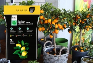 Грунт для ЦИТРУСОВЫХ И СРЕДИЗЕМНОМОРСКИХ РАСТЕНИЙ 20л