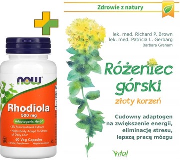 NOW Foods - Rhodiola / Różeniec górski | 500 mg | 60 kaps. | + książka