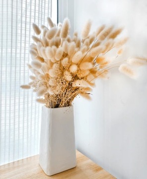 DMUSZEK JAJOWATY SUSZONY LAGURUS BEŻOWY KRÓLICZE OGONKI PUSZYSTE BUNNY TAIL