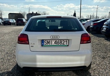 Audi A3 8P Hatchback 3d 1.6 102KM 2010 Audi a3 Instalacja gazowa 1.6 BenzynaLPG 102KM, zdjęcie 3
