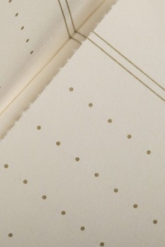 Field Notes Vintage DotRule 3 Pack