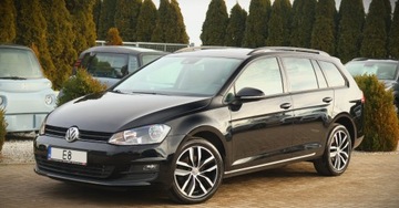 Volkswagen Golf VII Variant 2.0 TDI CR DPF BlueMotion Technology 150KM 2015 Volkswagen Golf (Nr.014) 2.0 TDI 4 Motion Panorama Kamera Klimatyzacja Gwa, zdjęcie 1