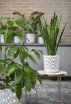 ЦВЕТОЧНЫЙ ГОРШОК ЧАША ЦВЕТОЧНАЯ ЧАША ЦВЕТОЧНАЯ КЛУМБА БАЛКОН ДОМ ТЕРРАСА БОЛЬШАЯ ВСТАВКА