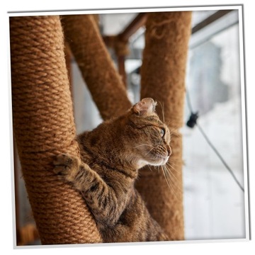 Веревка из натурального джута 25м 10мм.