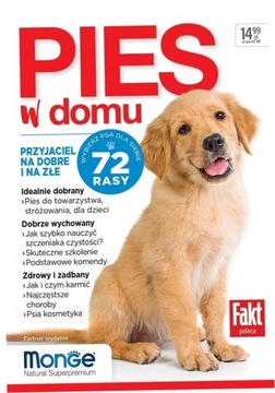 Собака дома