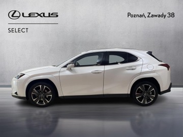 Lexus UX 2025 Lexus UX 300h Omotenashi Lexus UX 300h Omotenashi,, zdjęcie 1